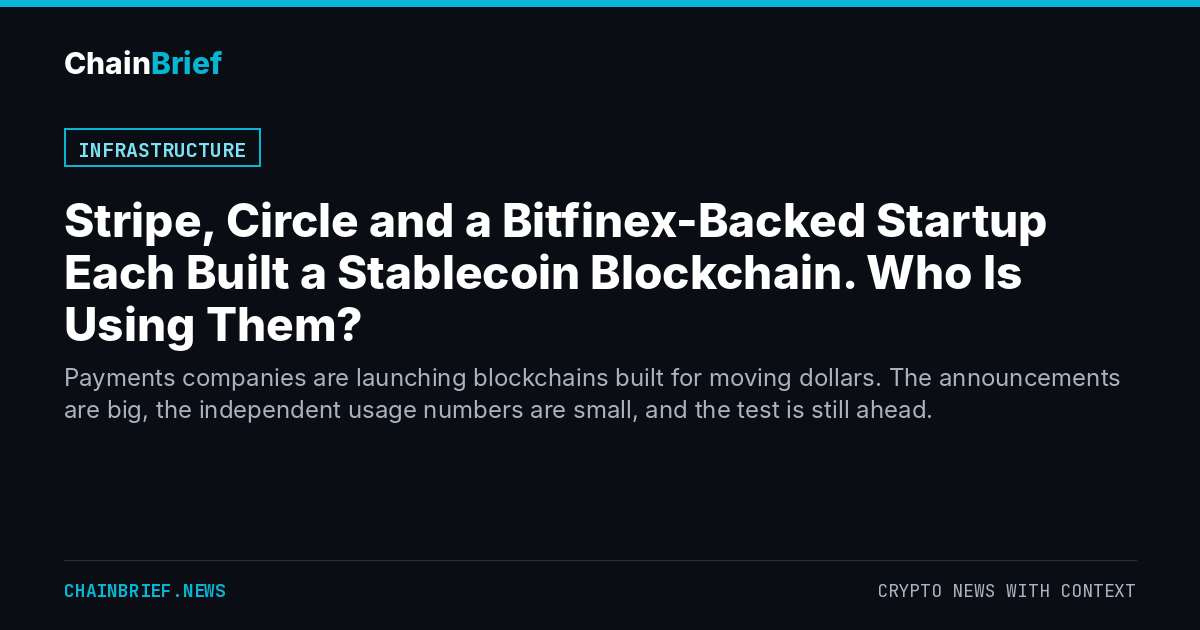 Stripe, Circle and a Bitfinex-Backed Startup Each Built a Stablecoin Blockchain. Who Is Using Them?